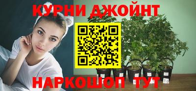 шишки Будённовск