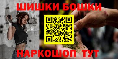 шишки Будённовск