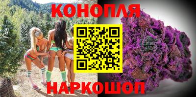 шишки Будённовск